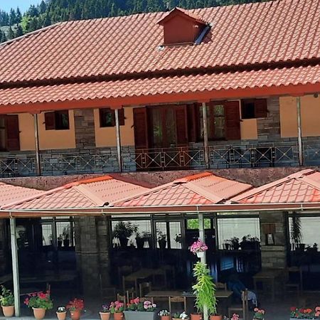 Athamania Artas Hotel Athamanio Bagian luar foto